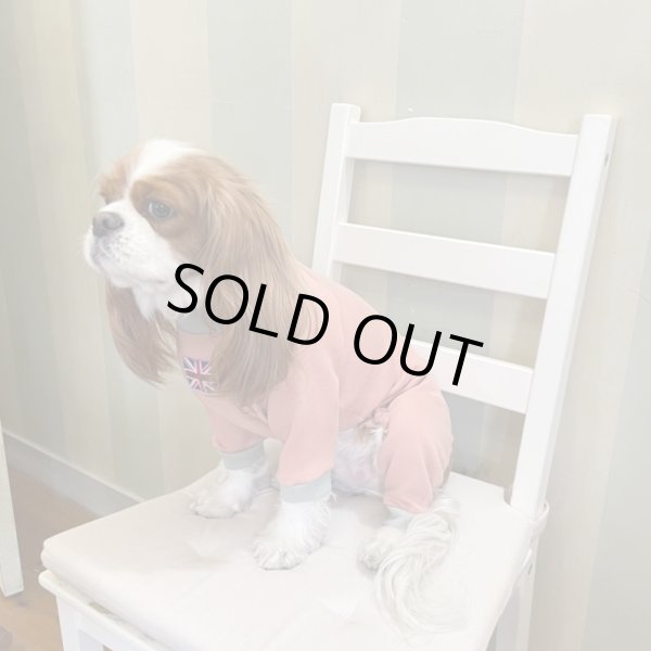 画像7:  10％OFF 【キャバスーツ おくるみ】うすもも (7)