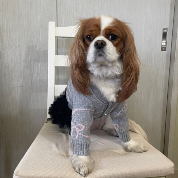 画像16:  【10%OFF】 【as know as de wan】リボンニットCD (16)