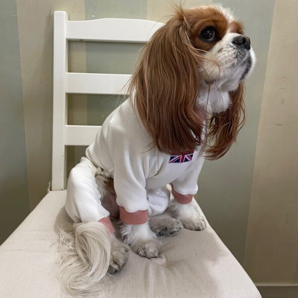 画像4: 【キャバスーツ おくるみ】きなり × うすもも (4)