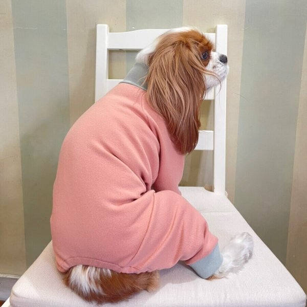 画像4:  10％OFF 【キャバスーツ おくるみ】うすもも (4)