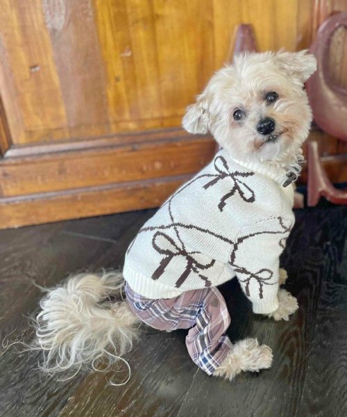 画像9:  【10%OFF】 【as know as de wan】リボンニットCD (9)