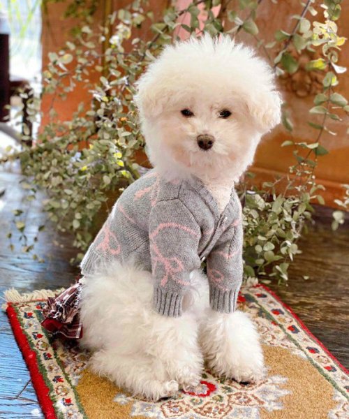 画像2:  【10%OFF】 【as know as de wan】リボンニットCD (2)