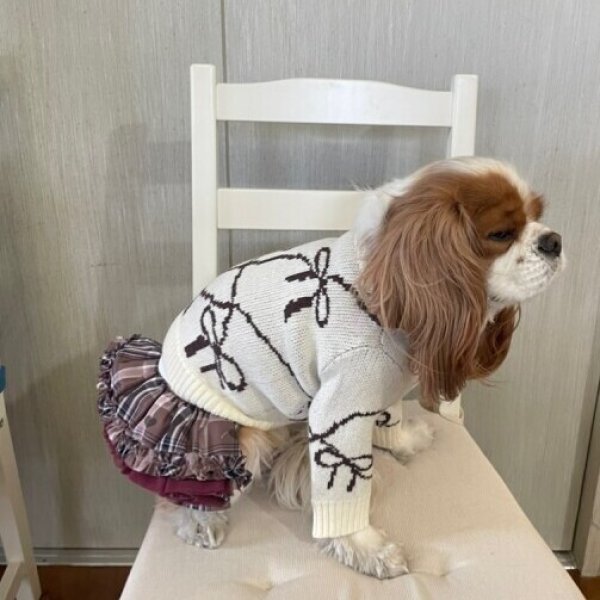 画像17:  【10%OFF】 【as know as de wan】リボンニットCD (17)