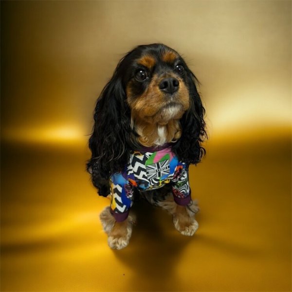 画像3:  30%OFF 【CAVA TEE】HALFTIME SHOW（ハーフタイムショー） (3)