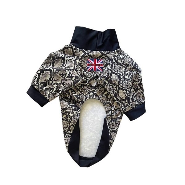 画像2:  30％OFF 【CAVA TEE】GOLD RUSH（ゴールドラッシュ） (2)