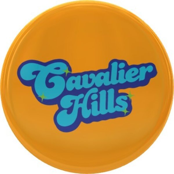 画像4: キャバヒル缶バッジ (4)