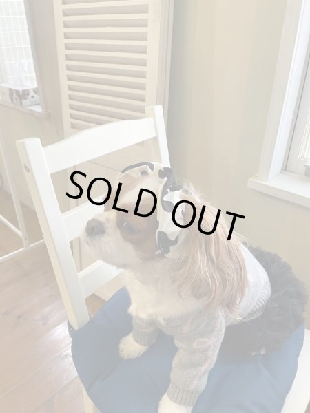 画像4: 8まきイヤーバンド【牛柄】 (4)