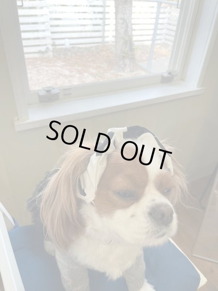 画像5: 8まきイヤーバンド【牛柄】 (5)