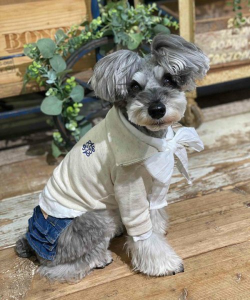 画像5:  【10%OFF】 【as know as de wan】NリボンボウタイSH (5)