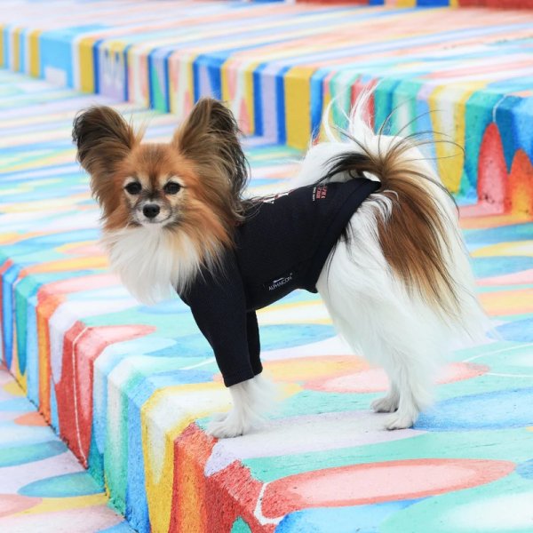 画像5:  【アルファアイコン】 ドライニットティー(2025年モデル) (5)