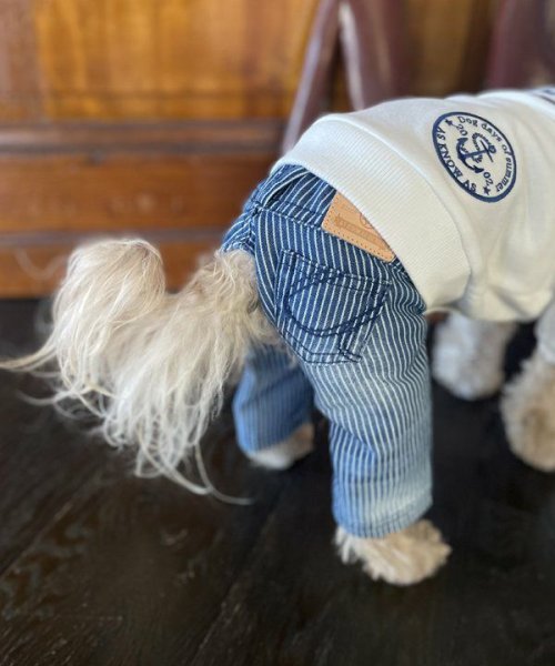 画像3:  【10％OFF】 【as know as de wan】Ｎa刺繍ヒッコリーPT (3)