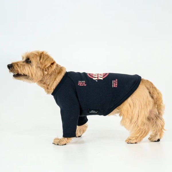 画像14:  【アルファアイコン】 ドライニットティー(2025年モデル) (14)