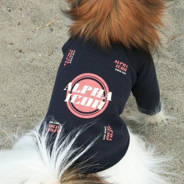 画像7:  【アルファアイコン】 ドライニットティー(2025年モデル) (7)