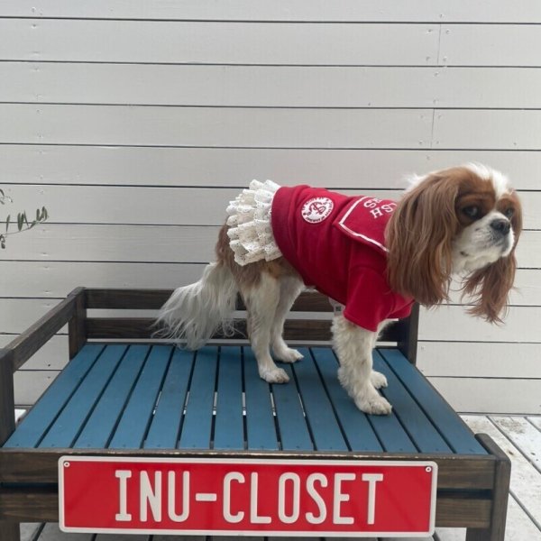 画像11:  【10％OFF】 【as know as de wan】ＮマリンセーラーPK (11)