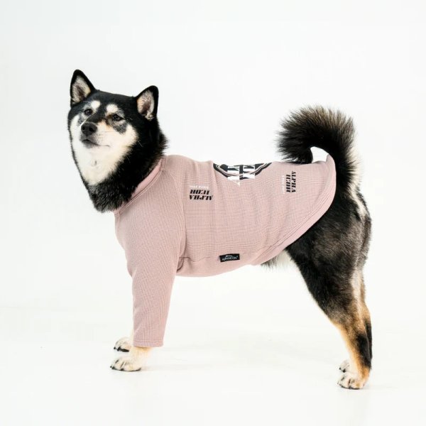 画像13:  【アルファアイコン】 ドライニットティー(2025年モデル) (13)