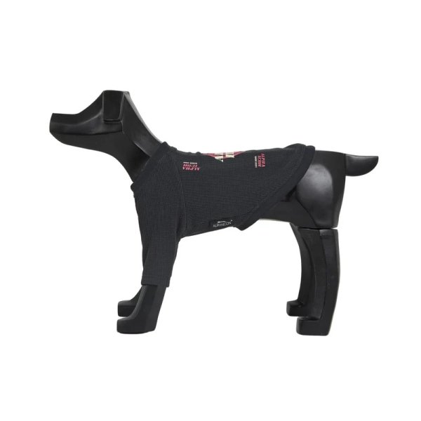 画像4:  【アルファアイコン】 ドライニットティー(2025年モデル) (4)