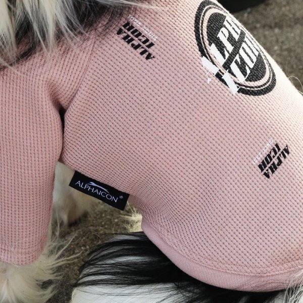 画像8:  【アルファアイコン】 ドライニットティー(2025年モデル) (8)