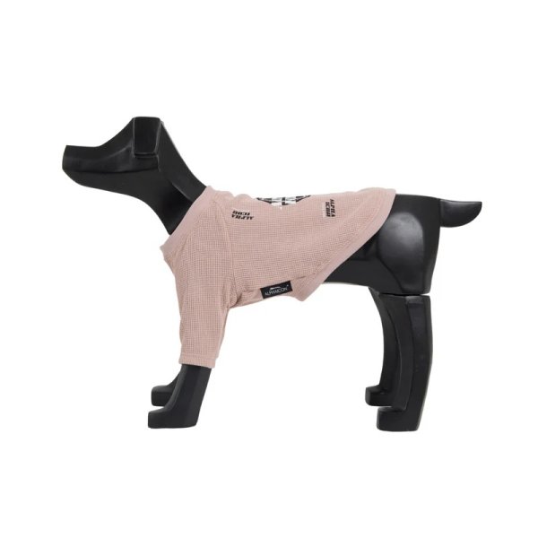 画像3:  【アルファアイコン】 ドライニットティー(2025年モデル) (3)