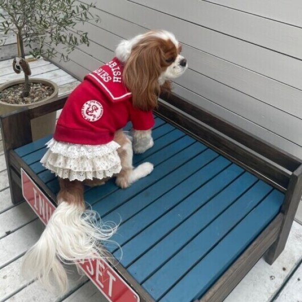 画像10:  【10％OFF】 【as know as de wan】ＮマリンセーラーPK (10)