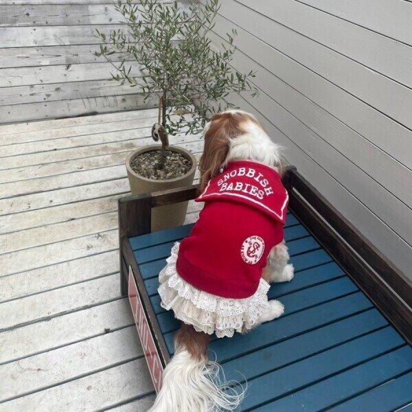 画像12:  【10％OFF】 【as know as de wan】ＮマリンセーラーPK (12)