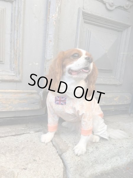 画像2: ★50%OFF★【CAVA TEE】Orange Embroidery（オレンジエンブロイダリー） (2)