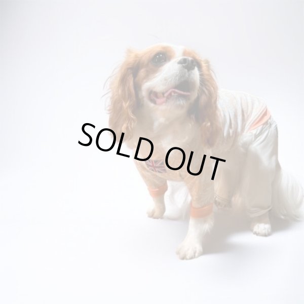 画像4: ★50%OFF★【CAVA TEE】Orange Embroidery（オレンジエンブロイダリー） (4)