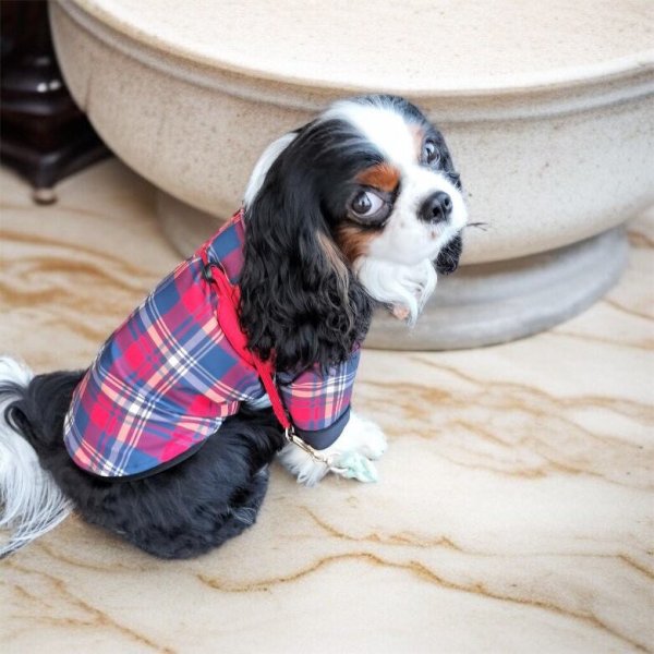 画像4:  30％OFF 【CAVA TEE】GREAT HOLIDAY（グレイトホリデー） (4)