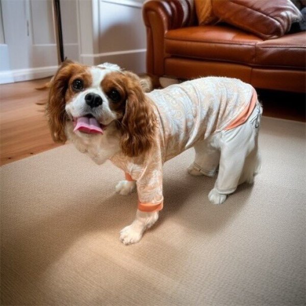 画像3:  30％OFF 【CAVA TEE】Orange Embroidery（オレンジエンブロイダリー） (3)