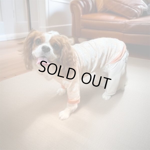 画像3: ★50%OFF★【CAVA TEE】Orange Embroidery（オレンジエンブロイダリー） (3)