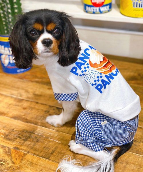 画像8:  【10％OFF】 【as know as de wan】Ｎ 2wayギンガムPT (8)