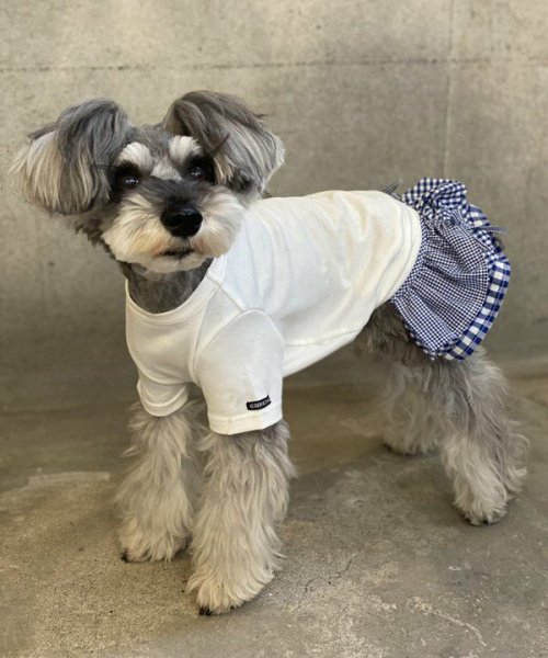 画像11:  【10％OFF】 【as know as de wan】Ｎ 2wayギンガムSK (11)