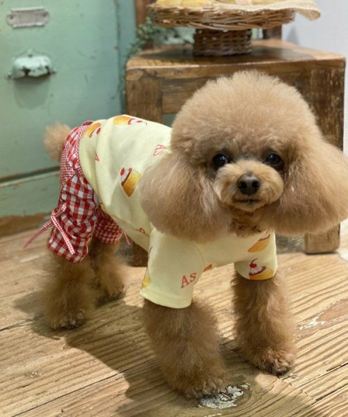 画像17:  【10％OFF】 【as know as de wan】Ｎ 2wayギンガムPT (17)