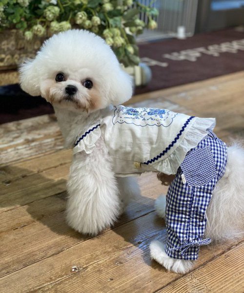 画像6:  【10％OFF】 【as know as de wan】Ｎ 2wayギンガムPT (6)