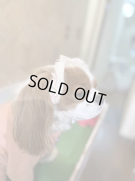 画像4: ８まきイヤーバンド【ネイビーチェック】 (4)