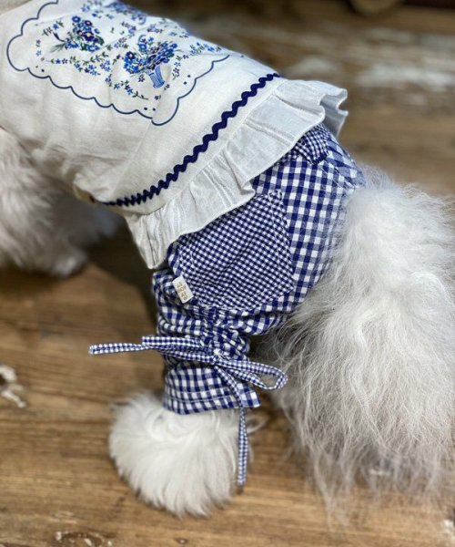 画像5:  【10％OFF】 【as know as de wan】Ｎ 2wayギンガムPT (5)