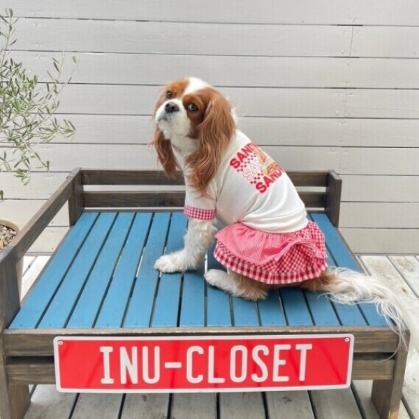 画像15:  【10%OFF】 【as know as de wan】Nデリシャス☆PO (15)