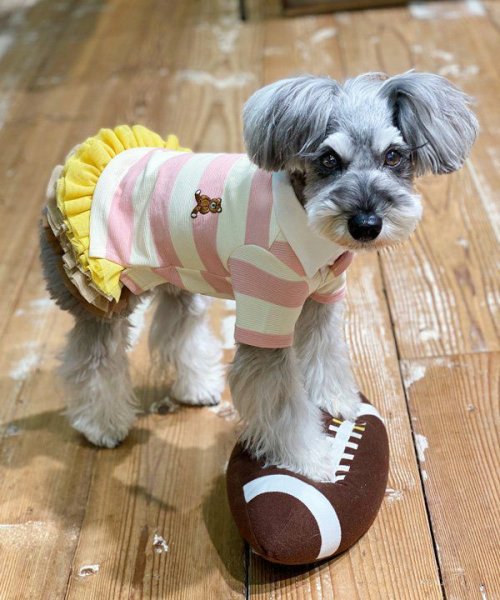 画像9:  【10％OFF】 【as know as de wan】Ｎアズベアラガー☆ポロ (9)