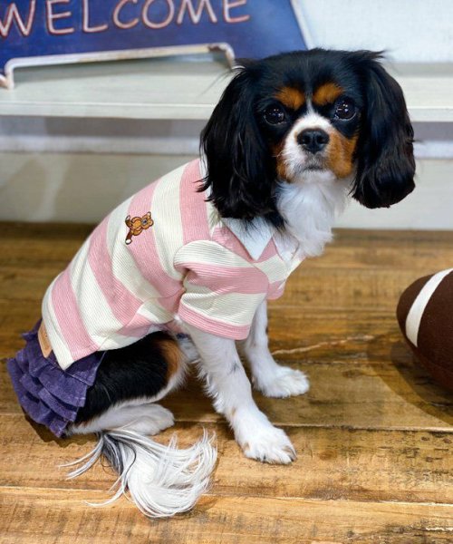 画像13:  【10％OFF】 【as know as de wan】Ｎアズベアラガー☆ポロ (13)