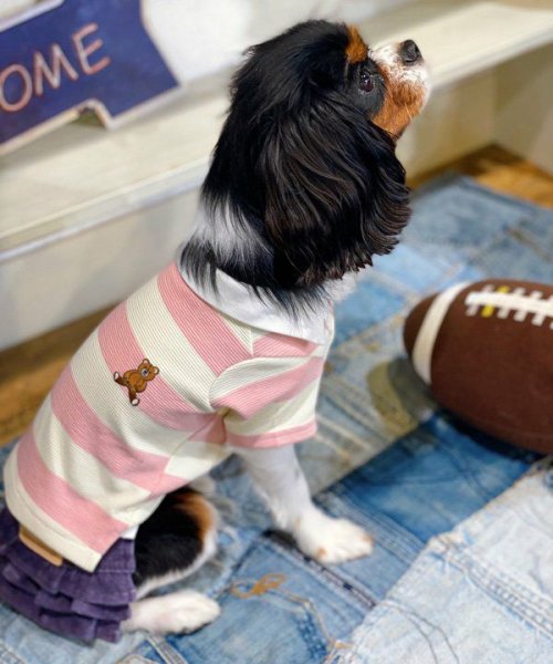 画像15:  【10％OFF】 【as know as de wan】Ｎアズベアラガー☆ポロ (15)