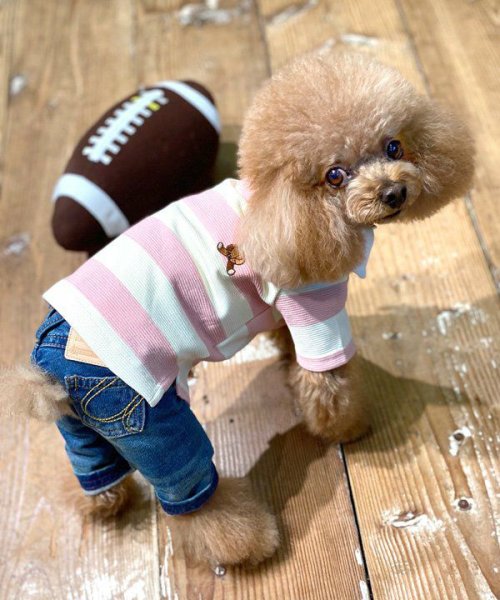 画像11:  【10％OFF】 【as know as de wan】Ｎアズベアラガー☆ポロ (11)