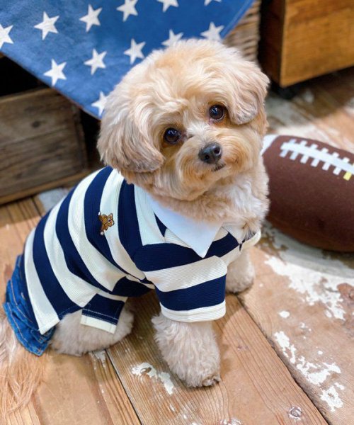 画像5:  【10％OFF】 【as know as de wan】Ｎアズベアラガー☆ポロ (5)