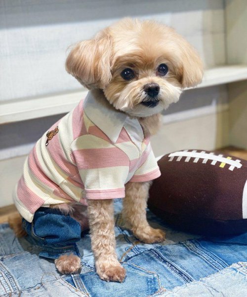 画像16:  【10％OFF】 【as know as de wan】Ｎアズベアラガー☆ポロ (16)