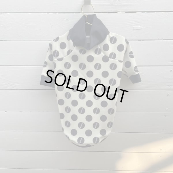 画像4:  30％OFF 【CAVA TEE】INU latte（イヌラテ） (4)