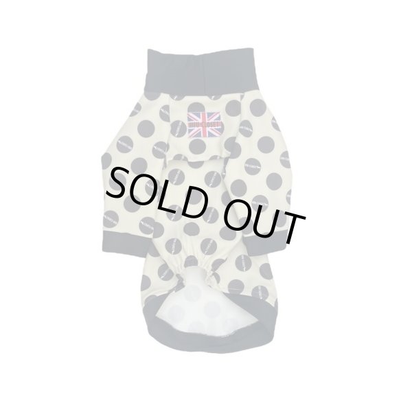 画像3:  30％OFF 【CAVA TEE】INU latte（イヌラテ） (3)