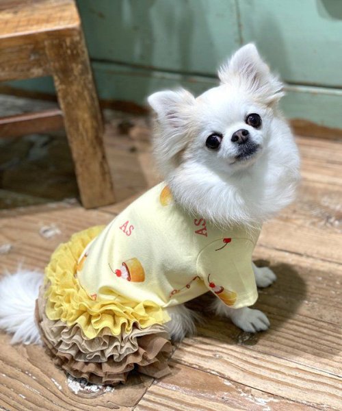 画像3:  【10%OFF】 【as know as de wan】NUVプリップリンT (3)