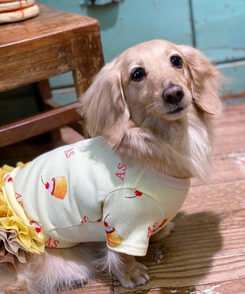 画像6:  【10%OFF】 【as know as de wan】NUVプリップリンT (6)