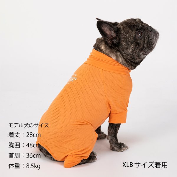 画像47: INSECT SHIELD SKIN TIGHT SUIT　インセクトシールドスキンタイトスーツ (47)