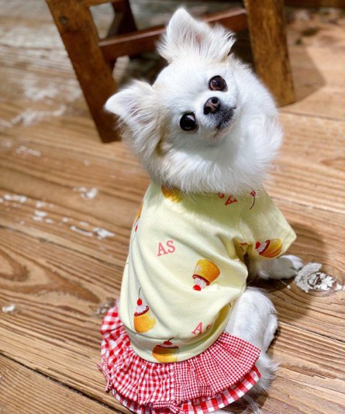 画像4:  【10%OFF】 【as know as de wan】NUVプリップリンT (4)