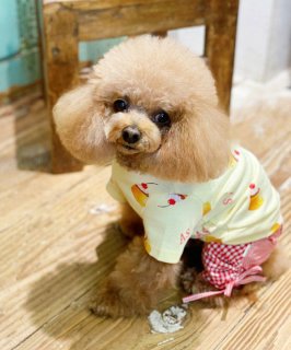 as know as de wan - INU－CLOSET