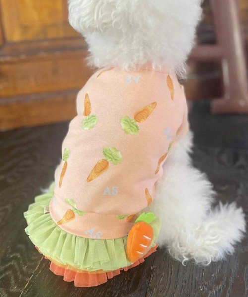 画像2:  【10%OFF】 【as know as de wan】NにんじんキャロッT (2)